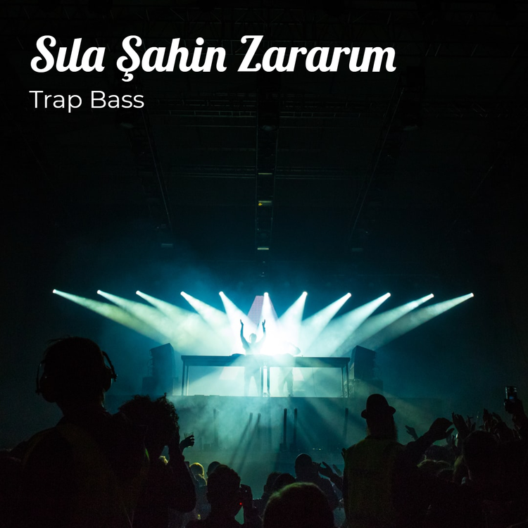 Trap Bass's avatar image