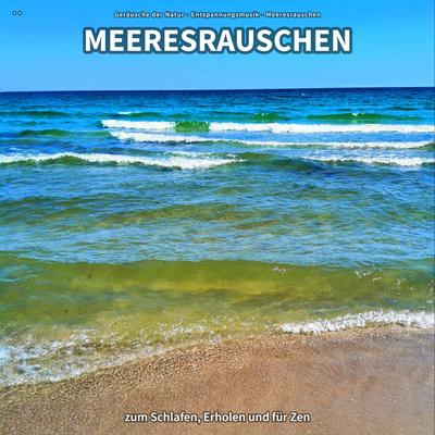 Meeresrauschen, Pt. 14's cover