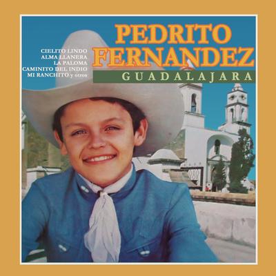 La Paloma (Album Version)'s cover