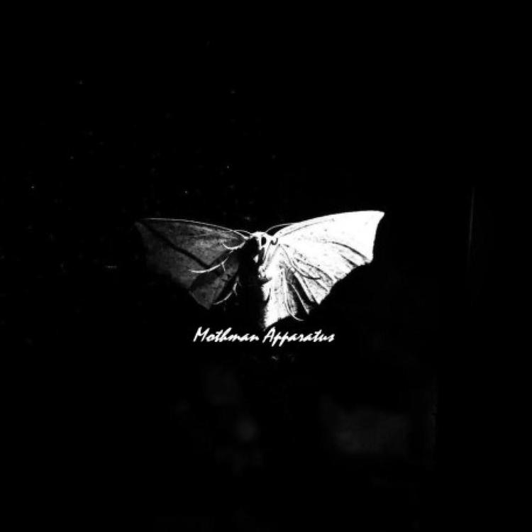 Mothman Apparatus's avatar image