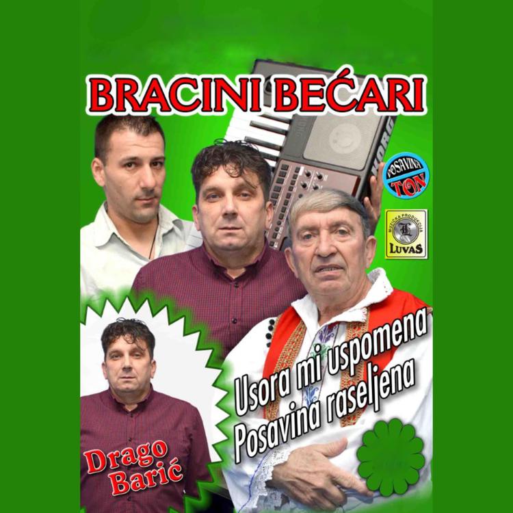 Bracini Bećari's avatar image