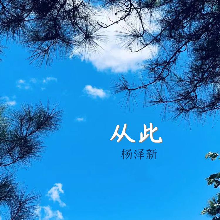 杨泽新's avatar image