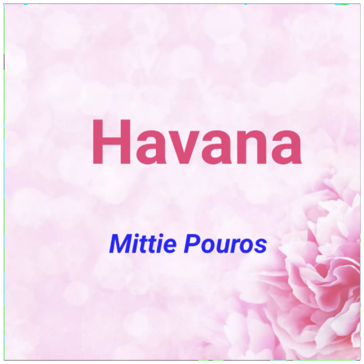 Mittie Pouros's avatar image