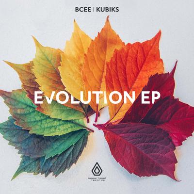 The Evolution's cover