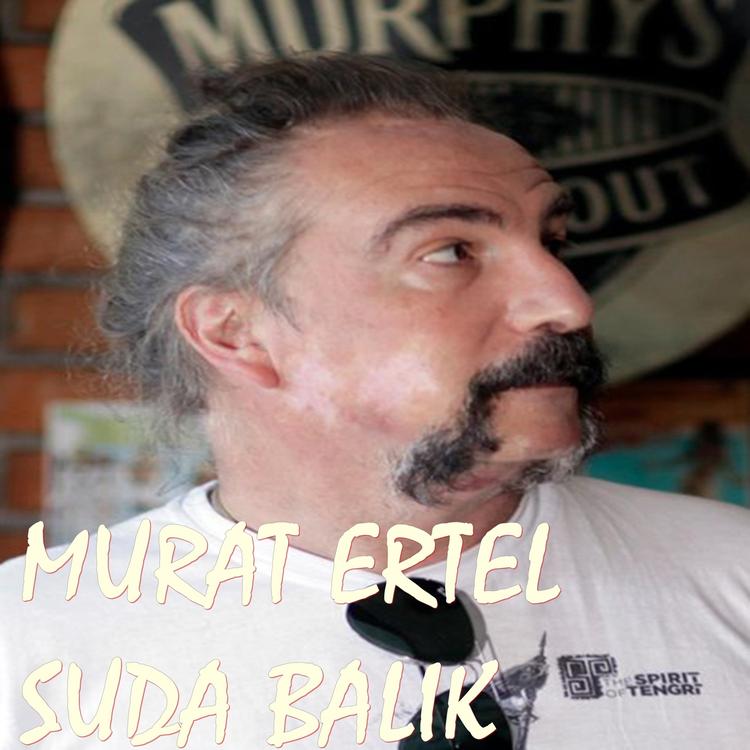 Murat Ertel's avatar image