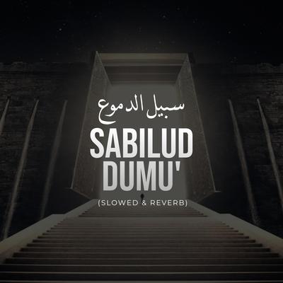 Sabilud dumu (slowed & reverb)'s cover