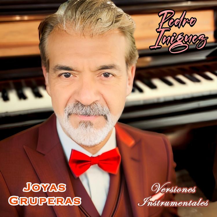 PEDRO INIGUEZ's avatar image