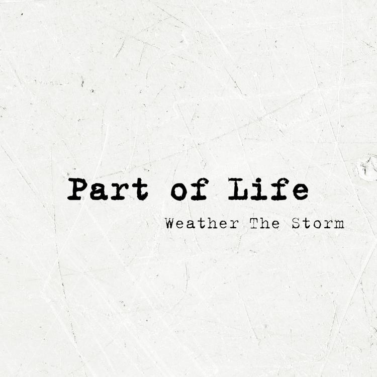 Weather the Storm's avatar image