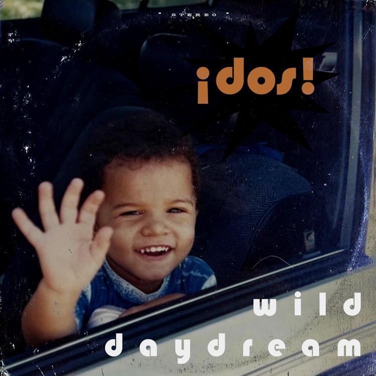 Wild Daydream's avatar image