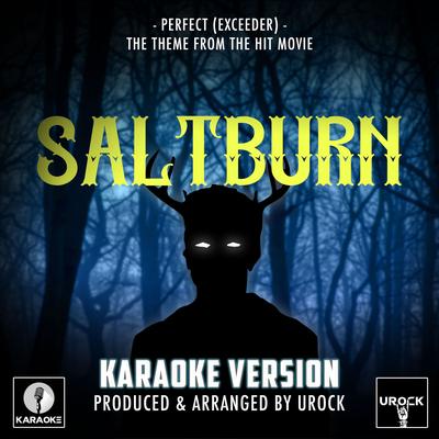 Perfect (Exceeder) [From "Saltburn"] (Karaoke Version)'s cover