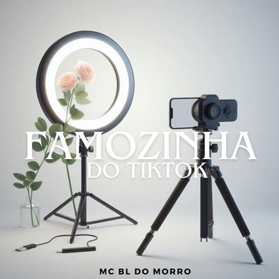 Famosinha do Tiktok's cover