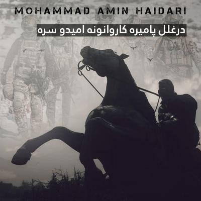 Mohammad Amin Haidari's cover