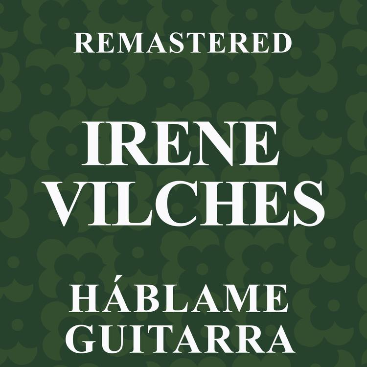 Irene Vilches's avatar image