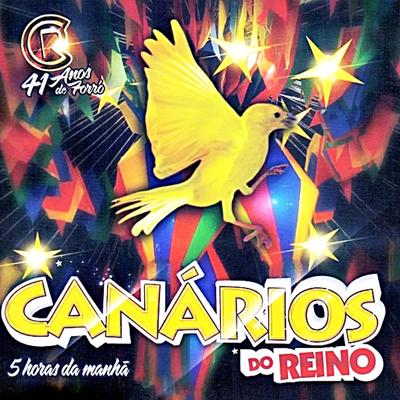 Agenda Trocada By Canários do Reino's cover