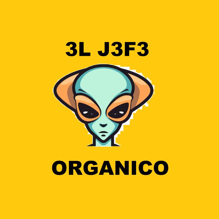 3L J3F3's avatar image
