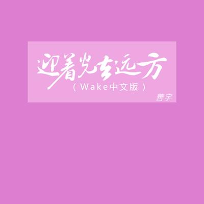 迎着光去远方 (Wake中文版)'s cover