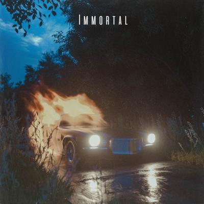 Immortal (feat. ELLIS!)'s cover