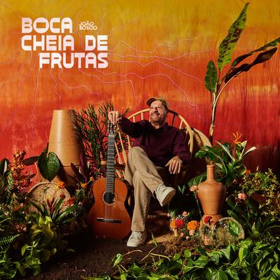 Dias Que São Assim By João Bosco's cover