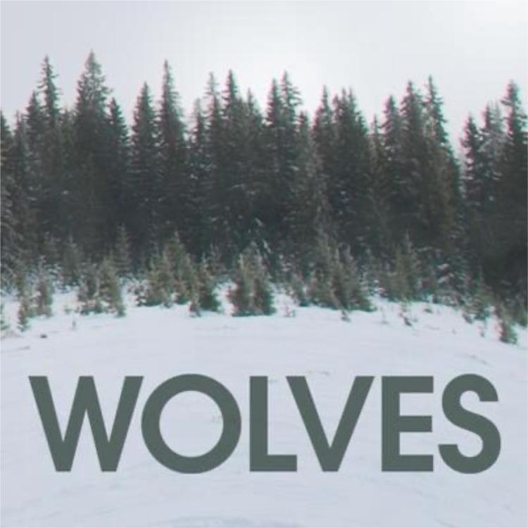 Wolves's avatar image