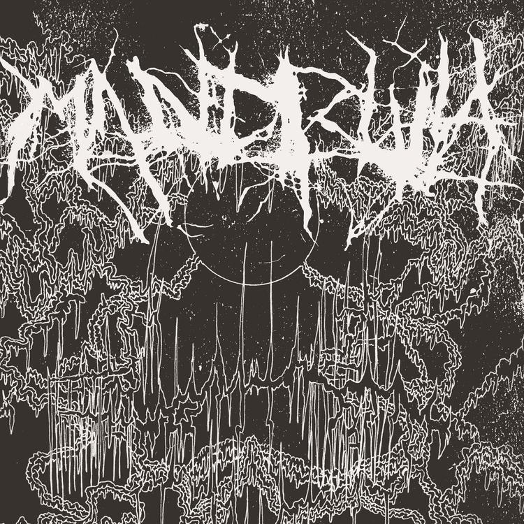 Mandibula's avatar image