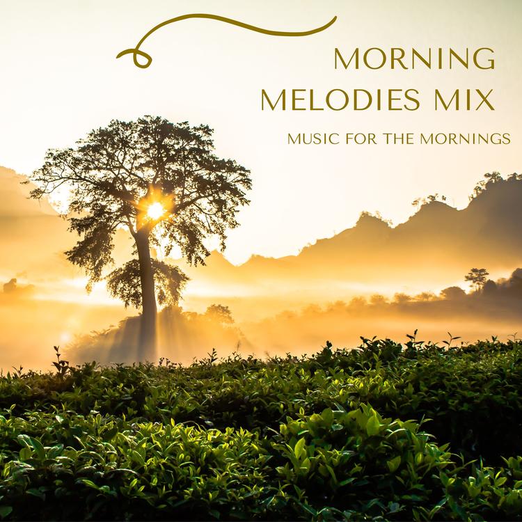 Music for The Mornings's avatar image