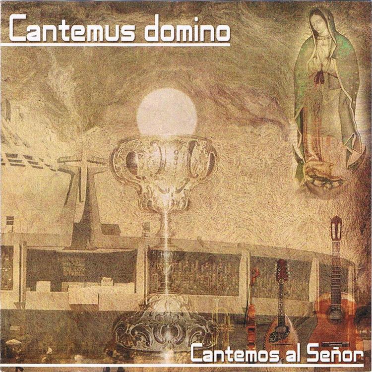 Cantemus Domino's avatar image