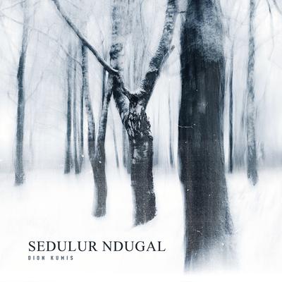Sedulur Ndugal's cover