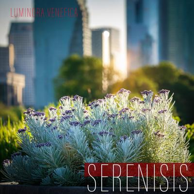 Serenisis's cover