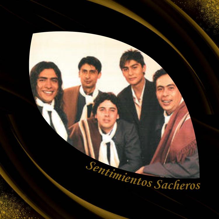 Los Sacheros's avatar image