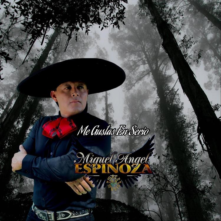 Miguel Angel Espinoza's avatar image