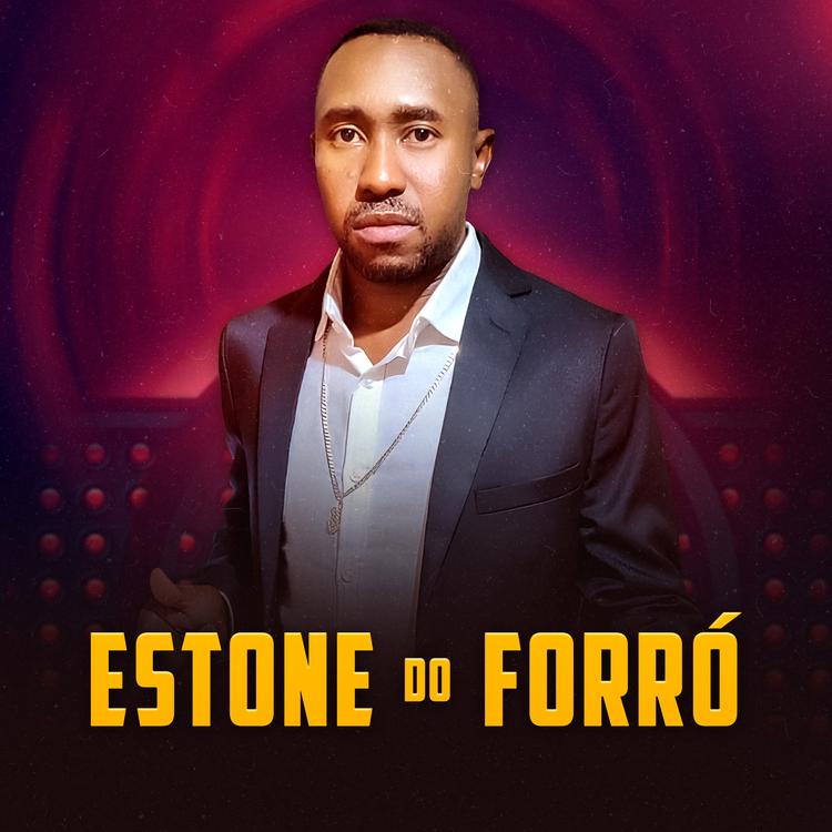 Estone do Forró's avatar image