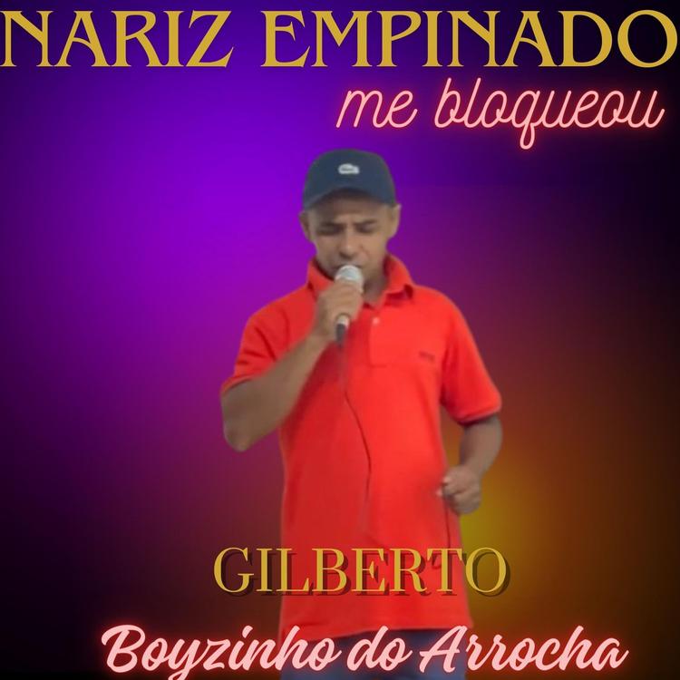 Gilberto boyzinho do arrocha's avatar image