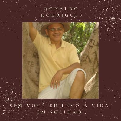 Sem Você Eu Levo a Vida Em Solidão's cover