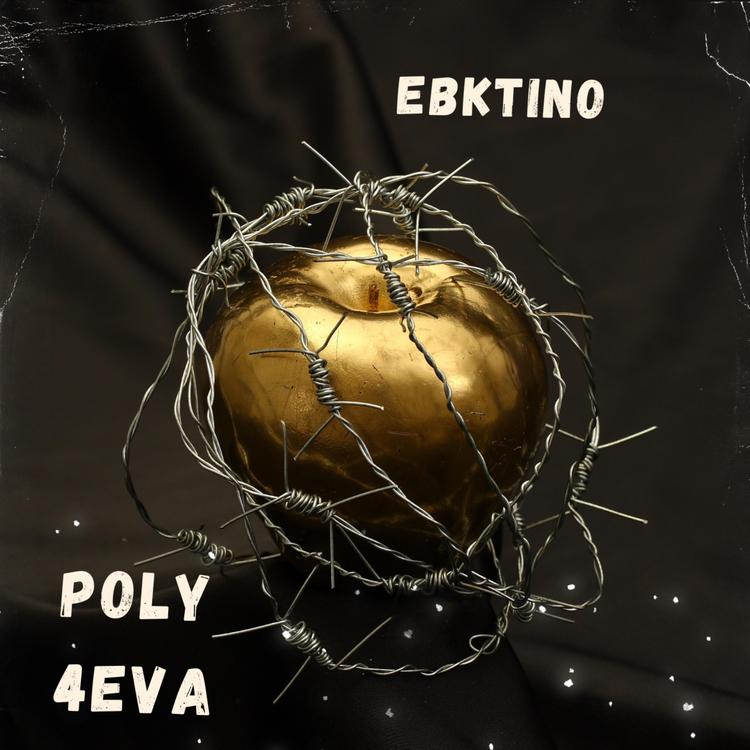 Ebktino's avatar image