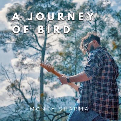 A Journey of Bird's cover