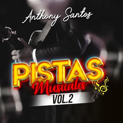 Pistas Musicales Vol.2's cover