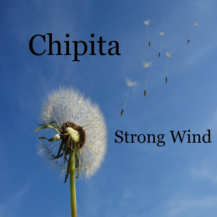 Strong Wind's avatar image