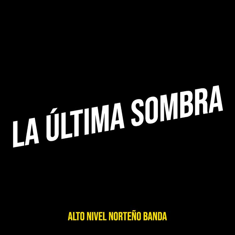 Alto nivel Norteño Banda's avatar image