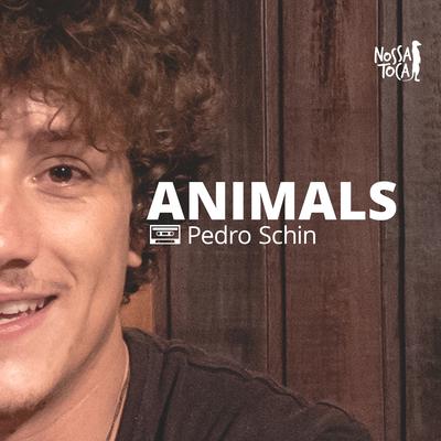 Animals By Nossa Toca, Pedro Schin, Andrey Benassi, Giba Moojen, Beatzotto's cover
