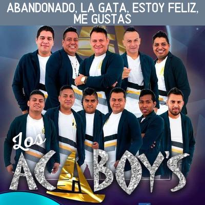 Los Acaboy's's cover