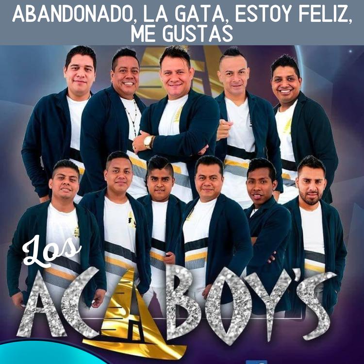 Los Acaboy's's avatar image