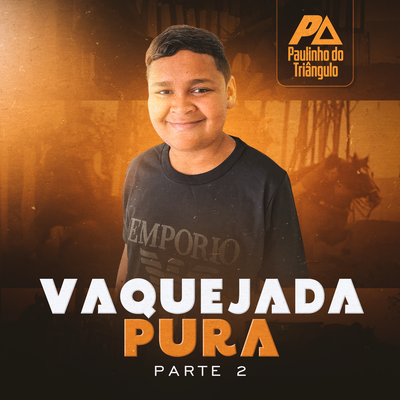Vaquejada Faz Bem By Paulinho do Triângulo, Paulo Sampaio's cover