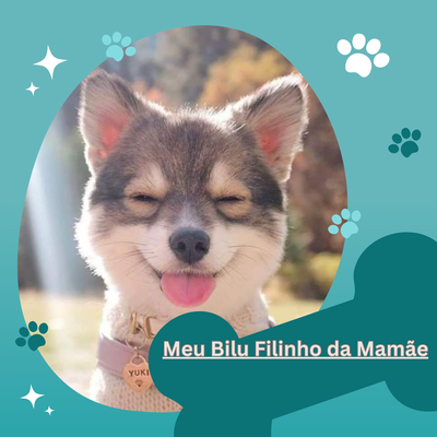 Meu Bilu Filinho da Mamãe's cover