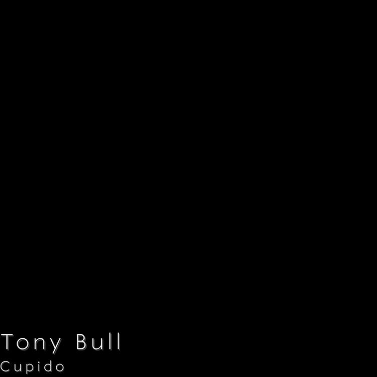 Tony Bull's avatar image
