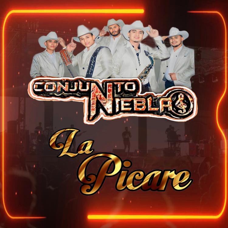 Conjunto Niebla's avatar image