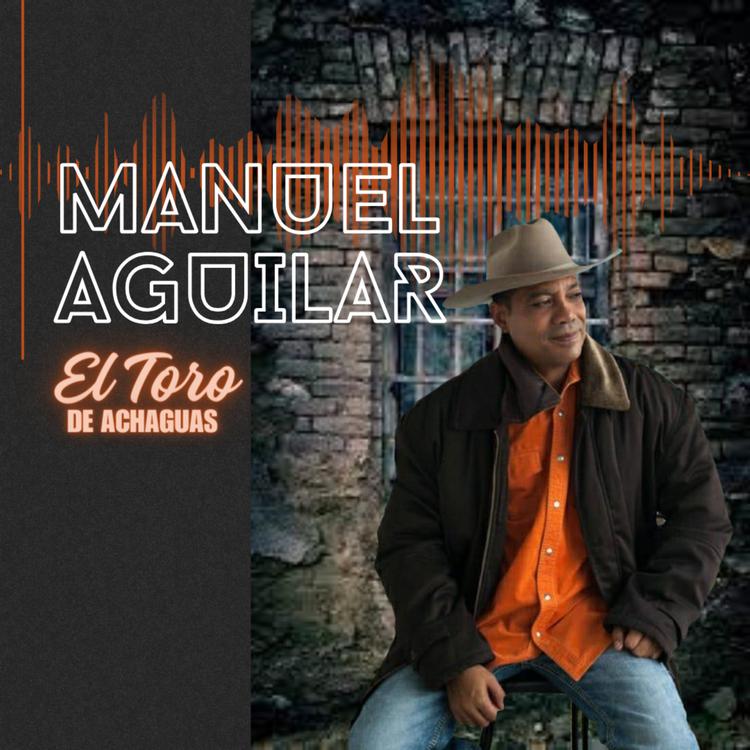 Manuel Aguilar's avatar image