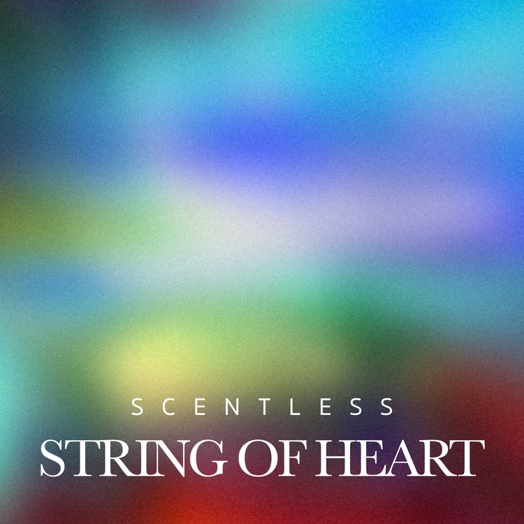 String of Heart's avatar image