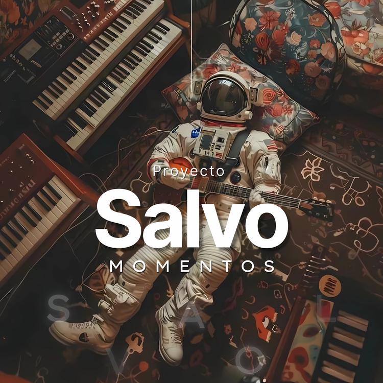 Proyecto Salvo's avatar image