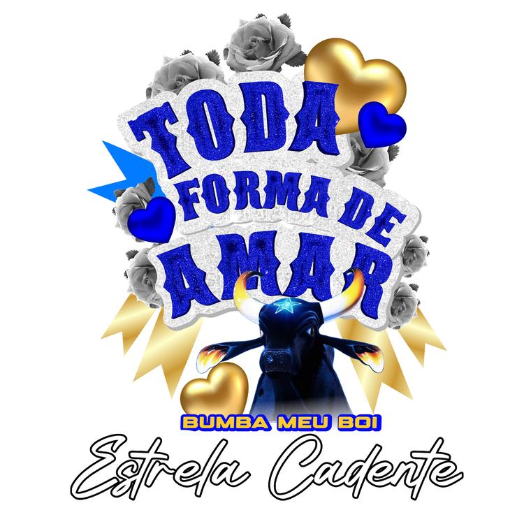 Bumba-Meu-Boi Estrela Cadente's avatar image