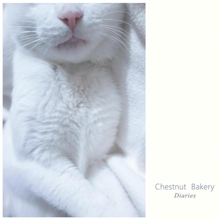 chestnut bakery's avatar image